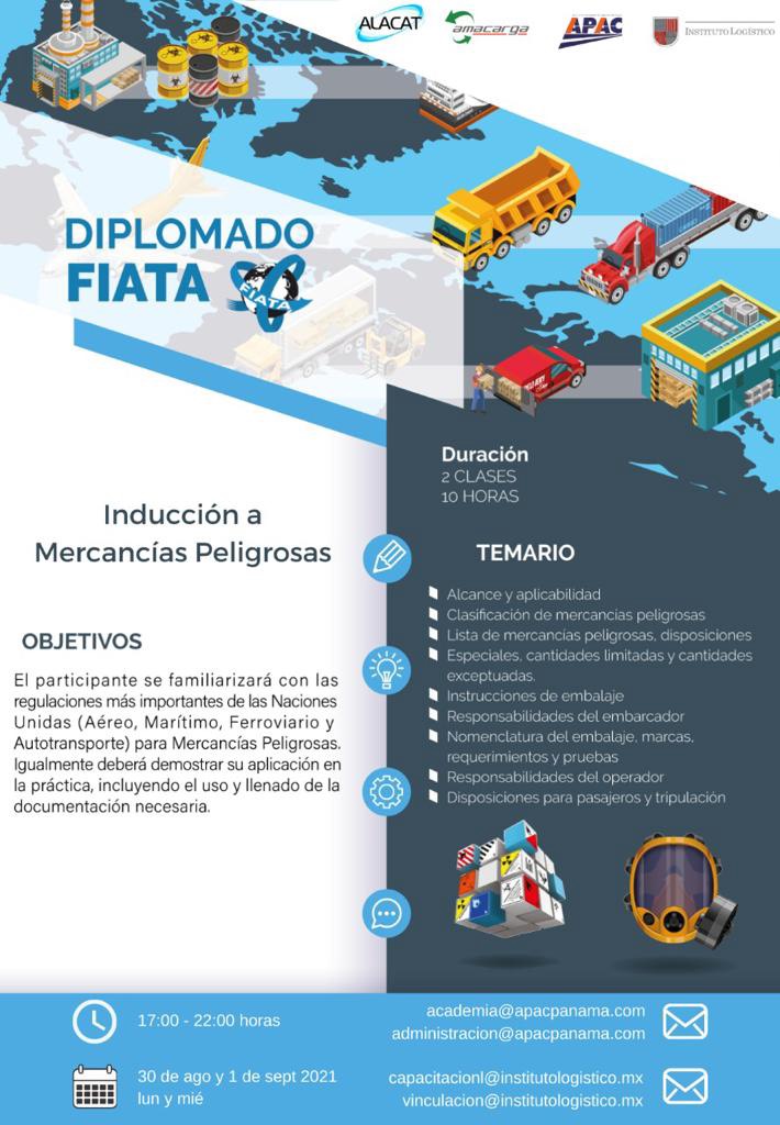 imagen-p