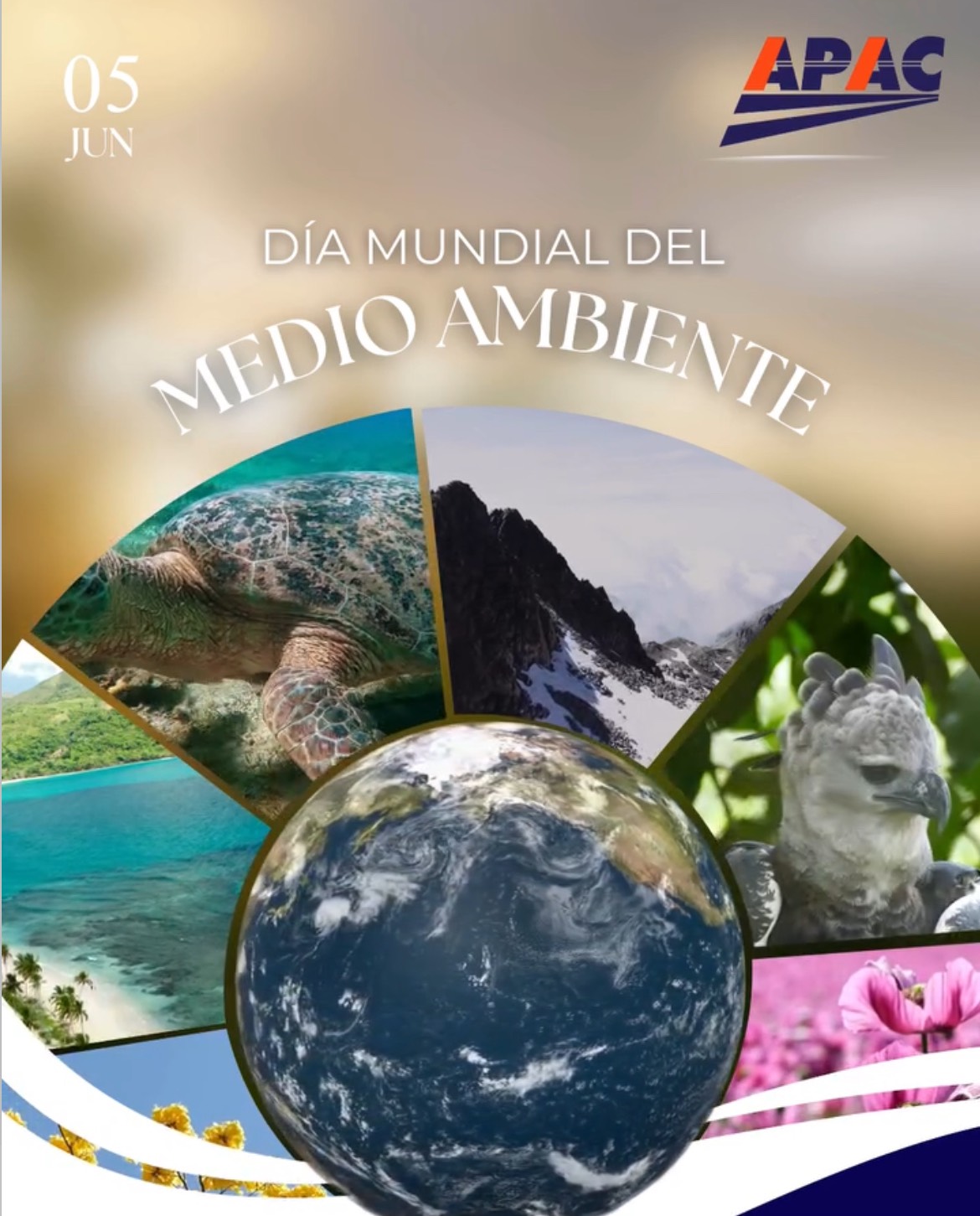 imagen-p
